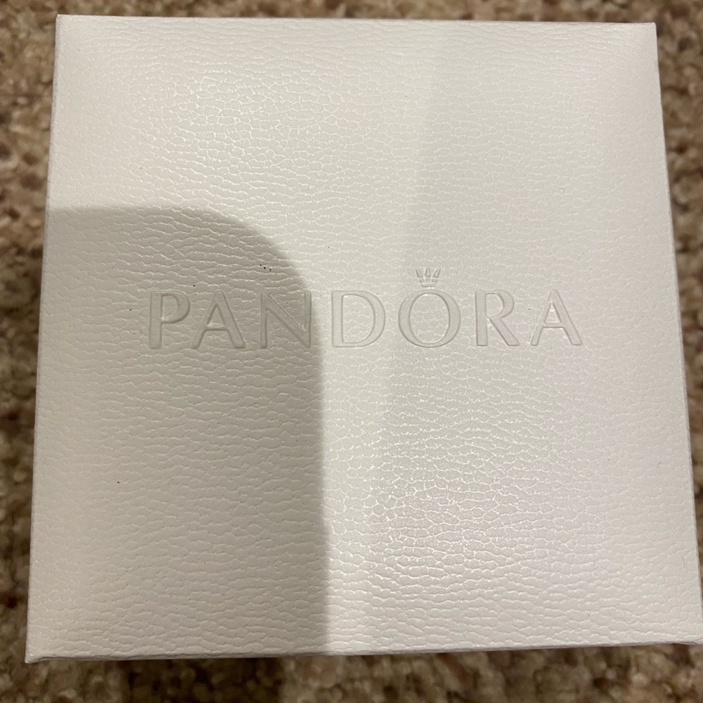 Pandora Bracelet with Charm - Picture 5 of 5